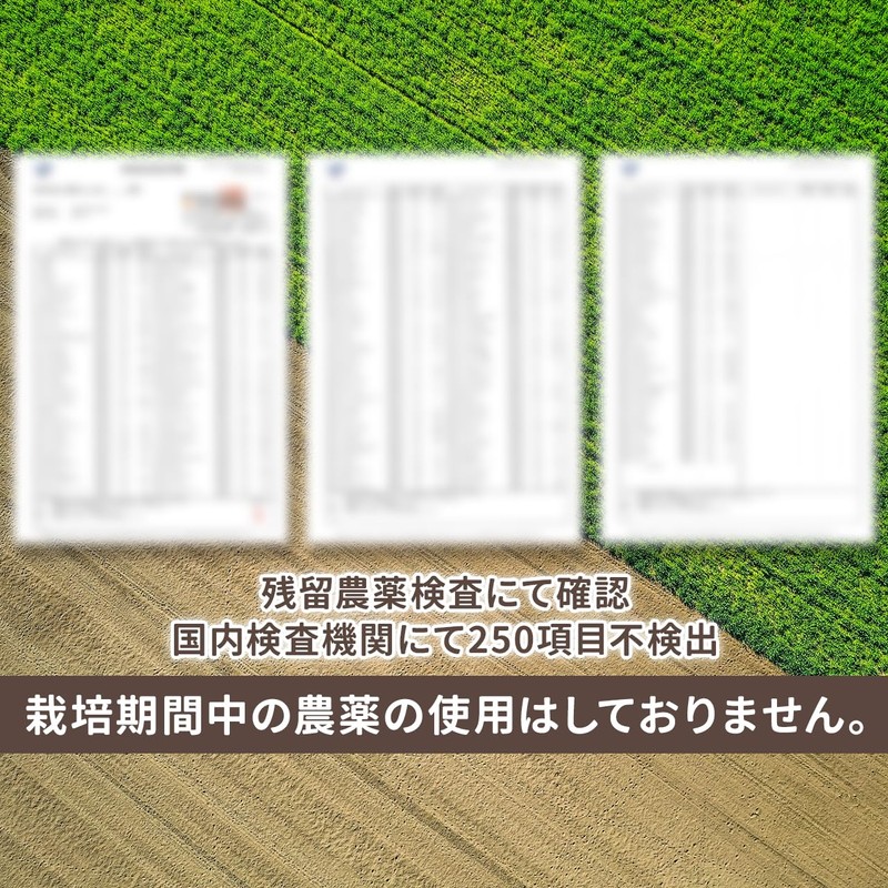 NICHIGA(ニチガ) 沖縄県産 紫ウコン 粒 150ｇ 約750粒 栽培期間中農薬不使用 ガジュツ ミネラル豊富 約75日分
