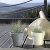 Prosper Plast Lofly Flowerpot, 34.5 x 31.8 cm, Stone Grey,