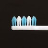 Biteen Lion Toothbrushes Regular Hard 12 Pack