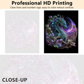 TISHIRON DIY Paint by Numbers, Red Dragon Adults' Paint-by-Number Kits on Canvas, Medieval Dragon Paint by Numbers Kit for Adults Kids and Beginner, 16X20 Inch Flameless Adult Paint by Numbers