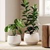 LE TAUCI Ceramic Plant Pots, Set of 2, 10 +