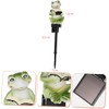 YZYOE Solar Powered Frog Reading Light, Garden Decoration Resin Cute