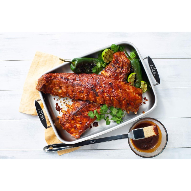 All-Clad Outdoor Stainless Steel Roaster 15x11 Inch Oven Broiler Safe