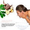Organic Konjac Face Sponge Combined with Activated Carbon | Set