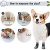SCENEREAL Double Side Anti-Slip Dog Socks for Hardwood Floors to