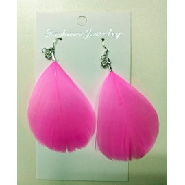 2 Pairs Pack Feather Earrings on Silver Hook (StyleB)