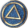 AA Circle Triangle Logo Reflex Blue Glitter Gold Plated Chip
