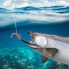 Dr.Fish 100 Pack Aberdeen Hooks Freshwater Fishing Hooks, Extra Long