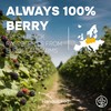 Jungle Powders Organic Black Raspberry Powder 5 Ounce Bag, USDA