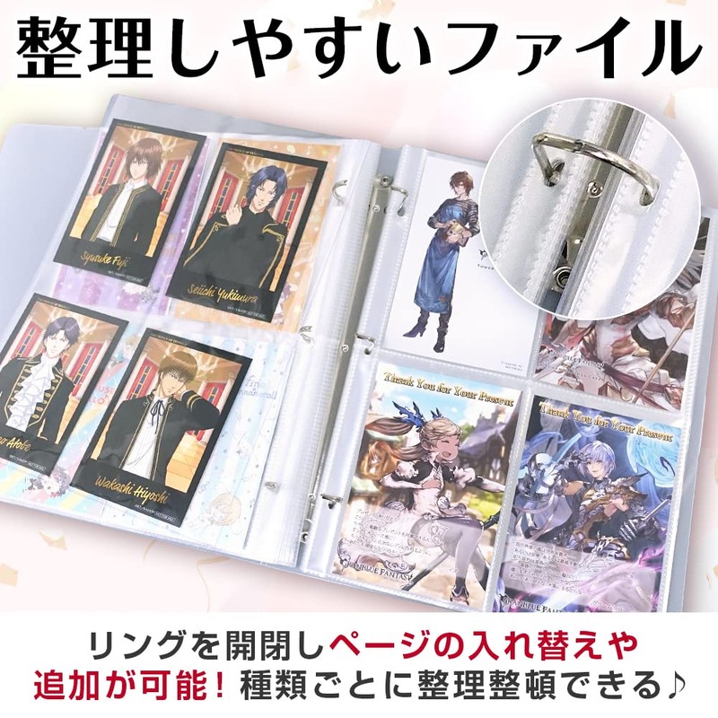 Goods marche Postcard Storage File, Postcard Size, Holds 160 Sheets