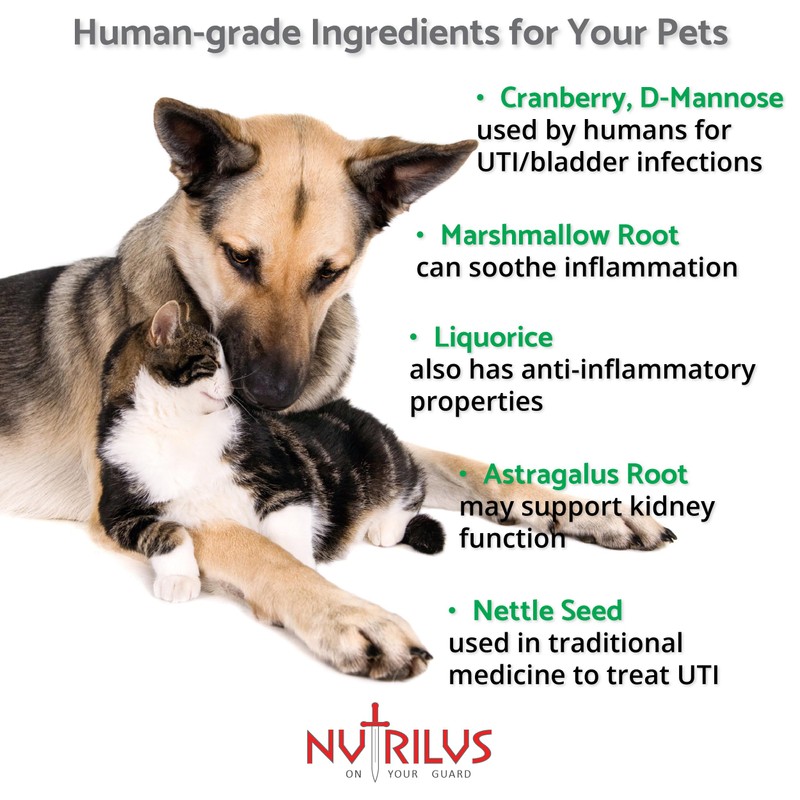 Pet Urinary Support Complex 120 Chicken Flavour Tablets for Cats