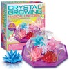 4M 403928 Crystal Growing Unicorn Land Terrarium, Mixed Colours