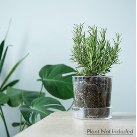 Phoenix Vine 4.5 Inch Clear Acrylic Planter Pot with Tray, Orchid Pot with Drainage Holes, Deep Saucer for Bottom Watering, Transparent Containers for Indoor Plants, Herbs, Set of 1, 91-A-E-1