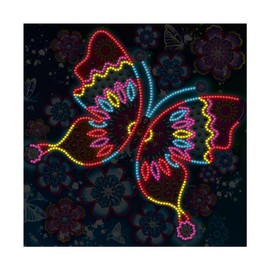 Songdao Luminous Diamond Painting Children, 5D DIY Set, Painting by Numbers Diamond Girls Adults, Diamond Pictures Arts Craft for Home Wall Decor (Butterfly)