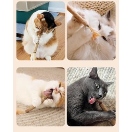 Tizanfenor 7 Pcs Cat Nip Chew Sticks, Natural Matatabi Silvervine Catnip Toys for Indoor Kitten Cleaning Teeth Stress Release