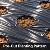 Black PE Mulch Film for Vegetable Gardens and Greenhouses, 37.4