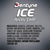 Dentyne Ice Arctic Chill Sugar Free Gum, 1 Bottle of