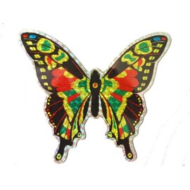 Clark Collection CC52071 Large Multi Colored Butterfly Door Screen Saver