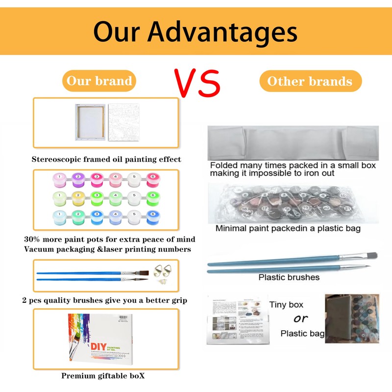 Mowana Paint by Numbers Kit for Adults Framed Canvas -