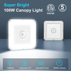 100W 80W 60W LED Canopy Light with Photocell, Commerical LED Canopy Lights