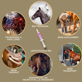 EMMA Magnesium Horse 5 x 30 ml Paste Relaxation & Soothing Horse I Calm Relax for Horses Nerves I Anti-Stress Nerve Strength with L-Tryptophan Against Anxiety Stress Transport Serenity Nervous Horses