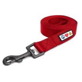 Pawtitas 6 FT Solid Color Leash for Puppy Leash Dog Leash Comfortable Handle Dog Training Leash 6 ft Dog Leash Extra Small Dog Leash/Small Dog Leash Red Dog Leash