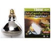 UVB Light and UVA 2-in-1 Reptile Bulb 100W for Bearded