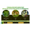 WAY 4 ORGANIC W4O Neem Triple Complex - High-Potency Azadirachta