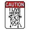 CAUTION I LIVE HERE METAL GATE SIGN DOG THEME 200MM