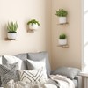 Fixwal Floating Shelves for Wall, Rustic Wood Small Wall Mounted