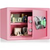 BlackSmith Home Biometric Safe 1.0 Cub Quick Access Fingerprint Lock