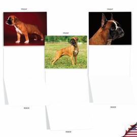 Best Boxers - 10 Assorted and Blank Dog Note Cards with Envelopes 4 x 5.12 inch - Cute and Fun Boxer Breed All Occasion Greeting Cards - Adorable Puppy Dog, Animal Notecard Stationery AM6295OCB-B1x10
