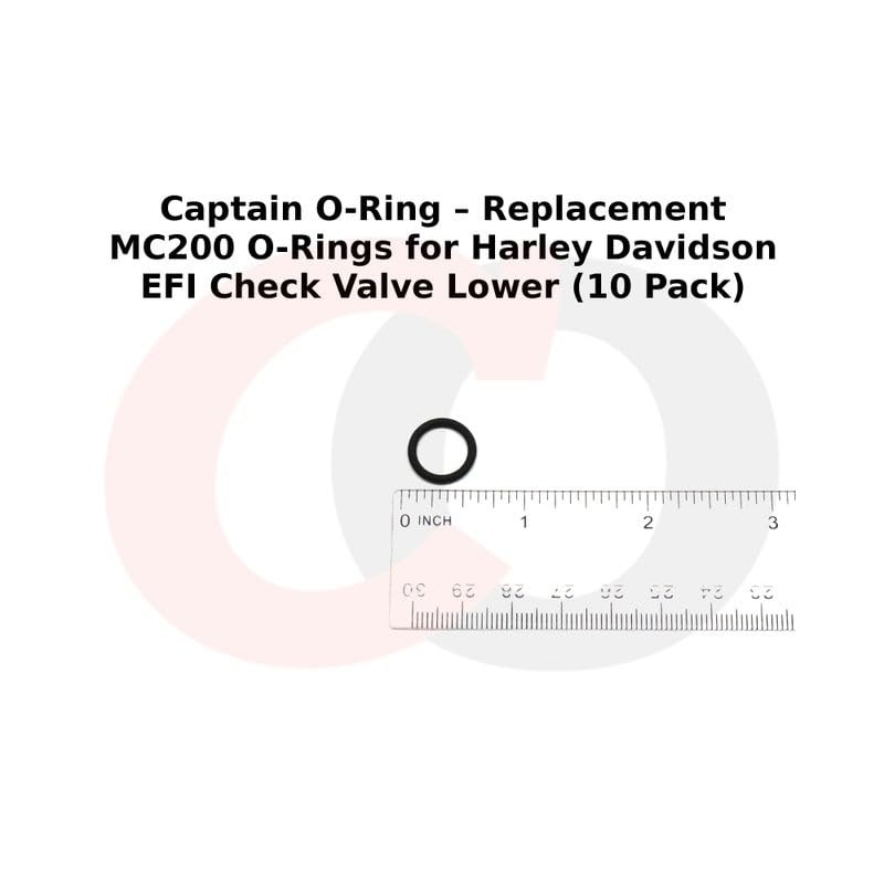 Fuel Tool EFI Check Valve Lower O-Ring - MC200-5