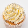 PME Sprinkles “Hundreds & Thousands” – Argento (86 g / 3 oz)