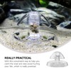 minkissy 2pcs Transparent Aquarium Snail Trap, Effective Snail Catching Device