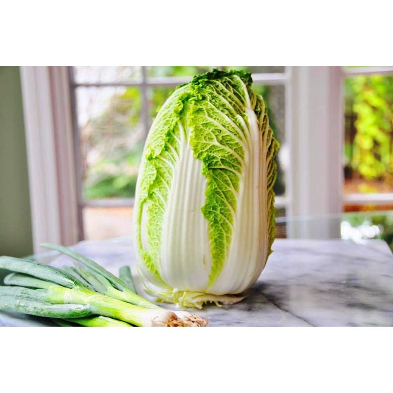Peking Cabbage Seeds for Planting Chinees Beijing Napa Lettuce About