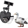 Hen Holster Wrap-Around Duck Diaper with Removable Liner and Adjustable