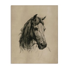 Stupell Industries Charcoal Horse Portrait Canvas Wall Art Design by Arlington Prints, 30 x 40