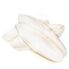 SunGrow 4 Pack Large 6-inch Cuttlefish Bones for Cockatiels, Turtles,
