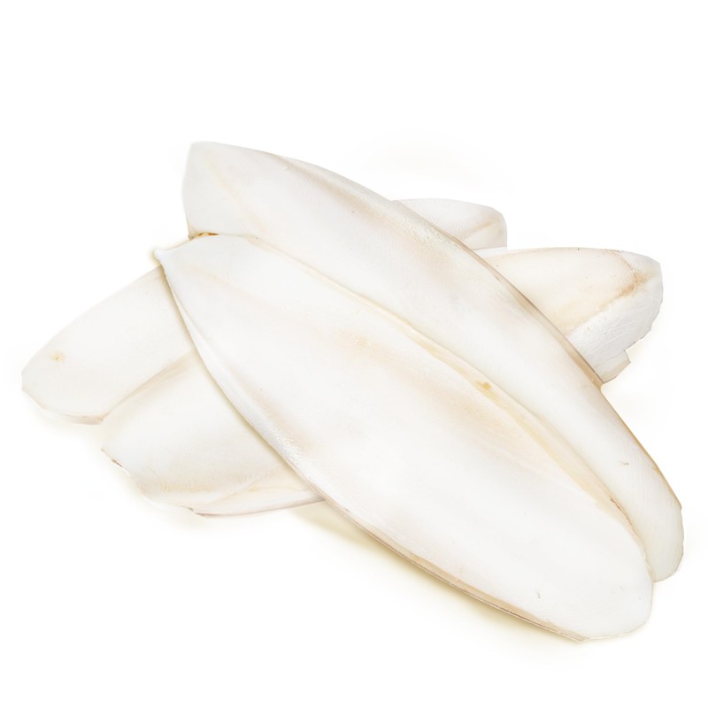 SunGrow 4 Pack Large 6-inch Cuttlefish Bones for Cockatiels, Turtles,