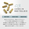 Kawachi Mushi Honpo Tea Yeast (62 Capsules), Set of 3,