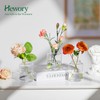 Hewory Small Bud Vases Set of 12: Clear Glass Vases