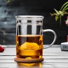 Unbreakable Glass Tea Cup with Infuser and Lid - 17oz