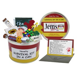 Valentine's Day Survival Kit in a Tin Humorous Gift - Gift Gifts for Her / Gifts for Women Boyfriend Girlfriend Fiancee Friday