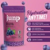 JUNP Sugar Free Electrolytes Powder Packets for Water Salt &