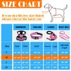 LOBEVE No Pull Dog Harness, Collar & Leash Set |