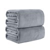 Pagnanno. Flannel Fleece Mink Throw Pack of 2 - Sofa/Bedspread/travel