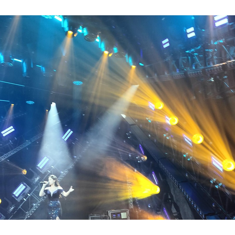 BORYLI 295W 14R Moving Head Stage Lamp Sirius Hri Bare