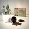 Sealpod Reusable Capsules for Caffitaly/K-Fee/Cafissimo Stainless Steel Refillable Pods (Single