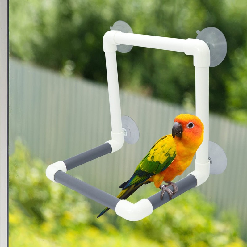 Bird Portable Suction Cup Shower Perch Parrot Window Wall Standing
